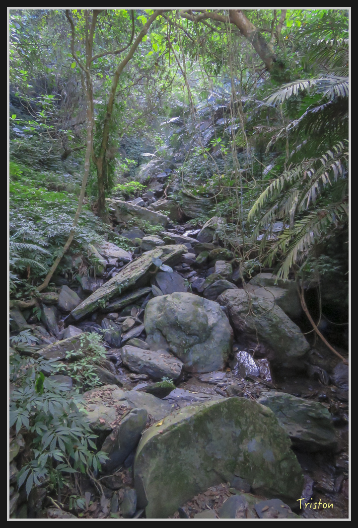 IMG_0710.jpg - 20170111 龍頭山步道、羅木斯步道、茂林谷瀑布