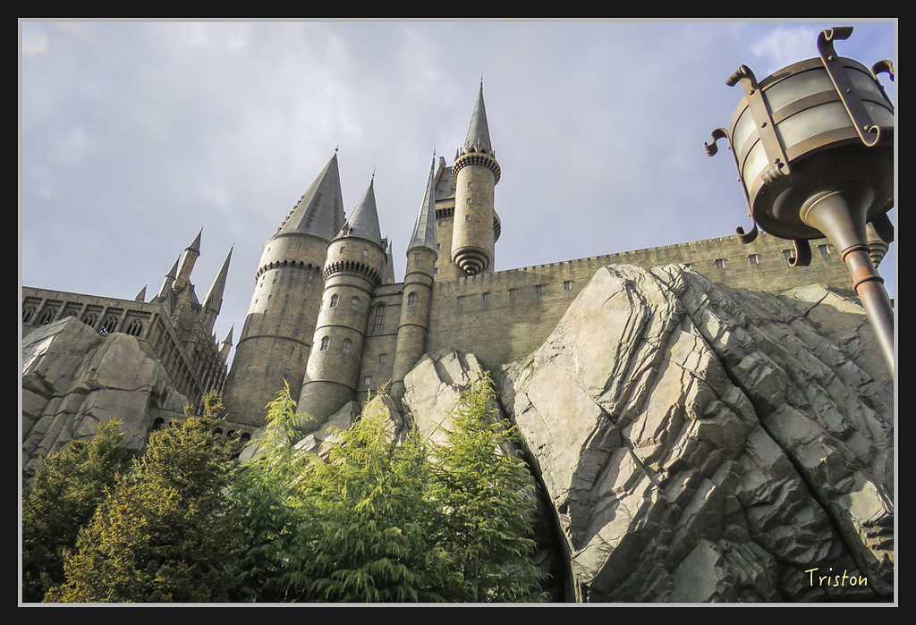 Canon-1054.jpg - 20170120 大阪神戶親子遊 