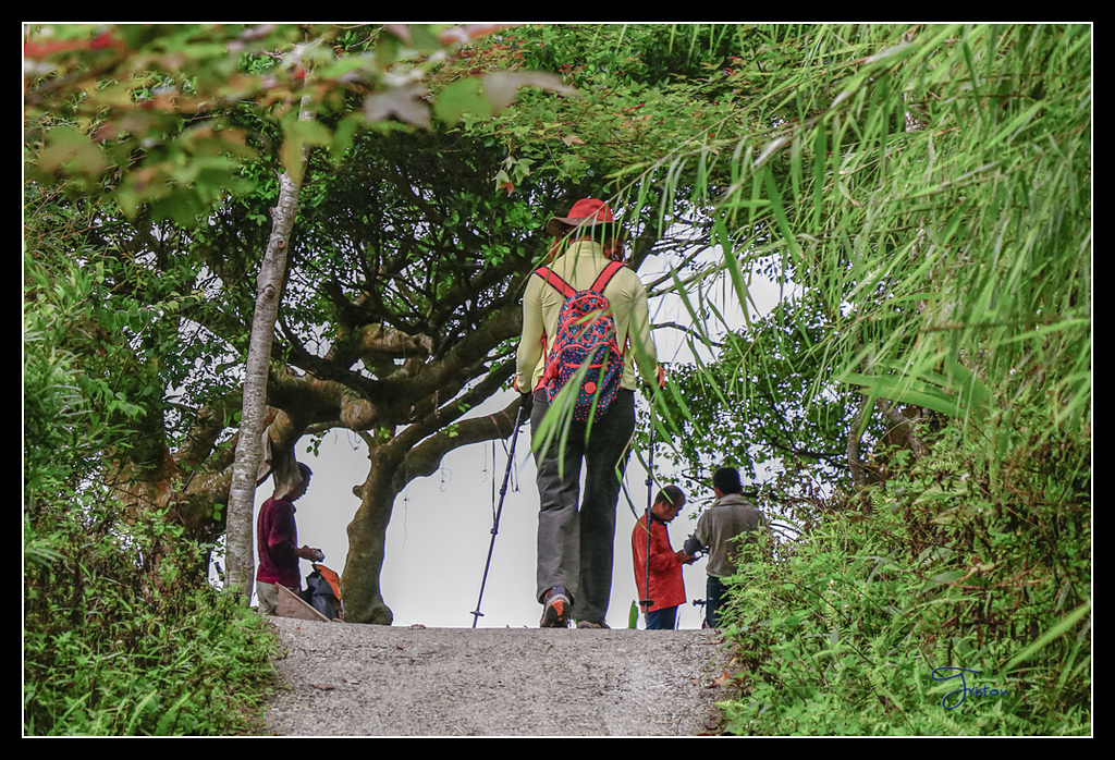 _MG_0049.jpg - 20170429 關仔嶺雞籠山
