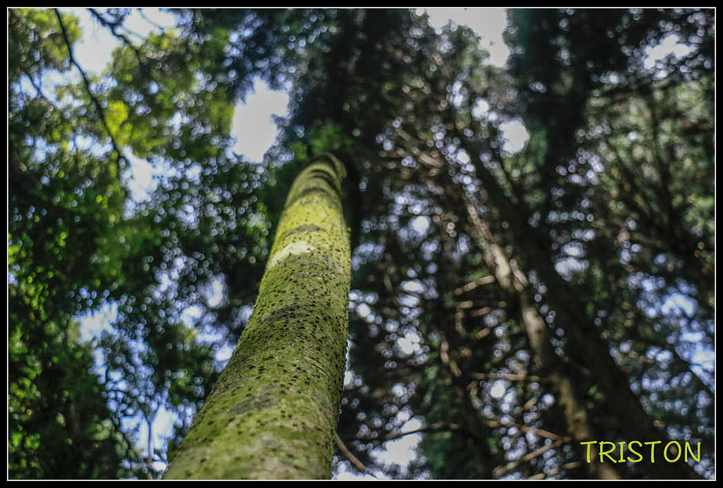 _MG_0072.jpg - 20170920 加里山