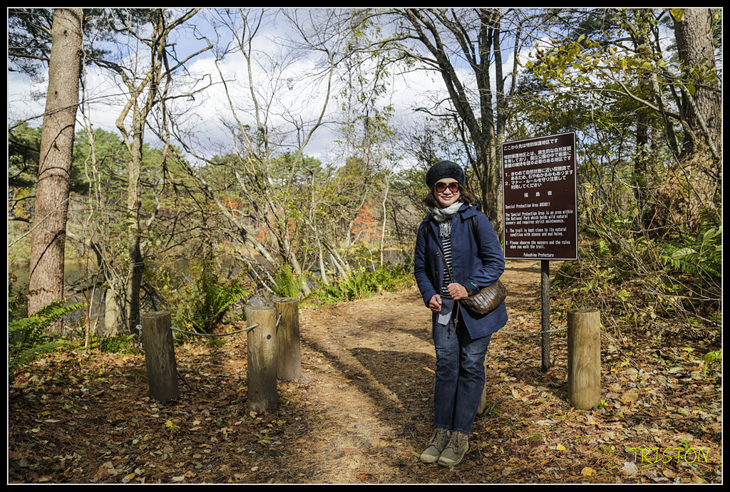 _H1A1341.jpg - 20171103 日本只見線、會津若松五色沼、昭和記念公園賞紅葉