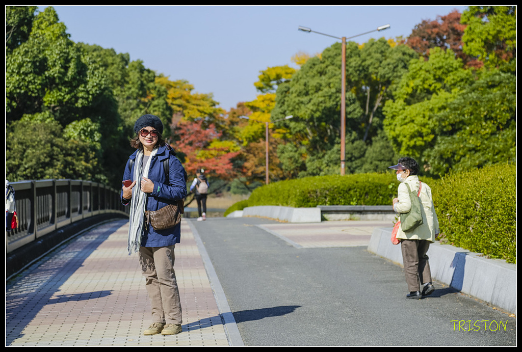 _H1A1611.jpg - 20171103 日本只見線、會津若松五色沼、昭和記念公園賞紅葉