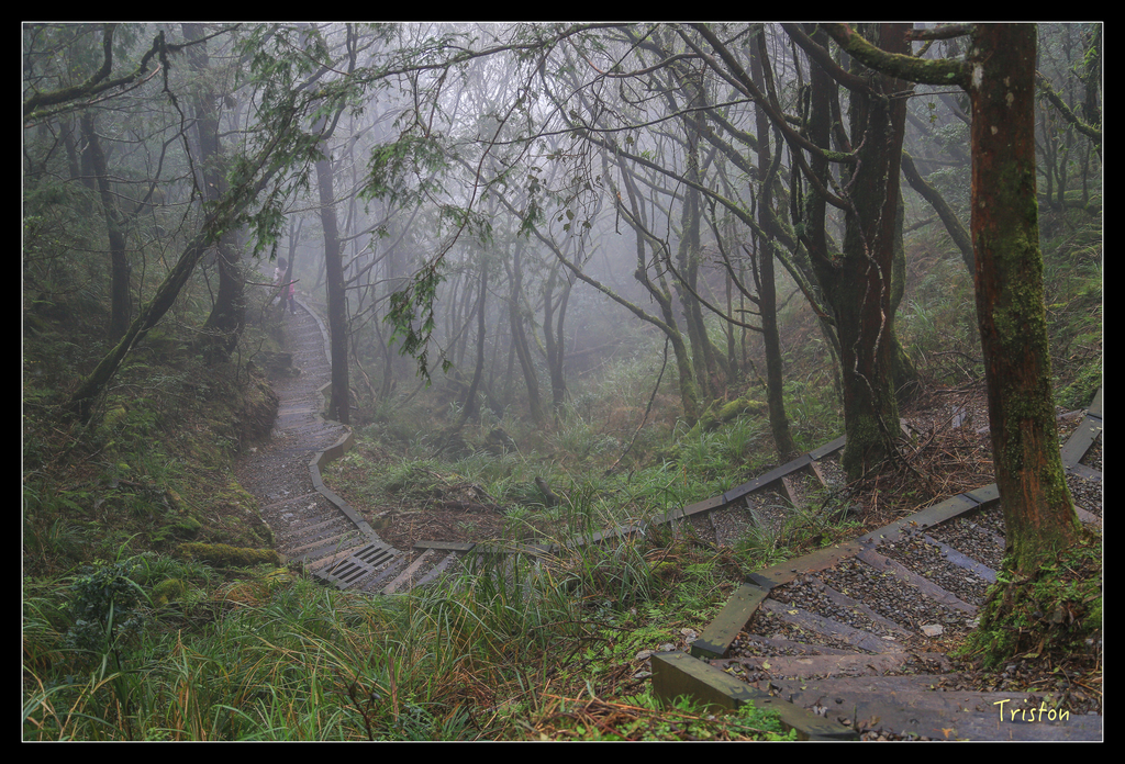 JH1A0165.jpg - 20151024~25 幾米公園、翠峰湖、翠峰山屋、望洋山步道、山毛櫸步道