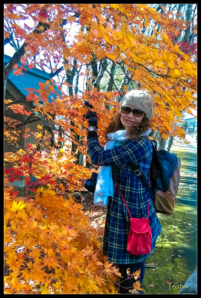 S__7528484.jpg - 20151031 秋天的童話-貴婦東京輕井澤紀行