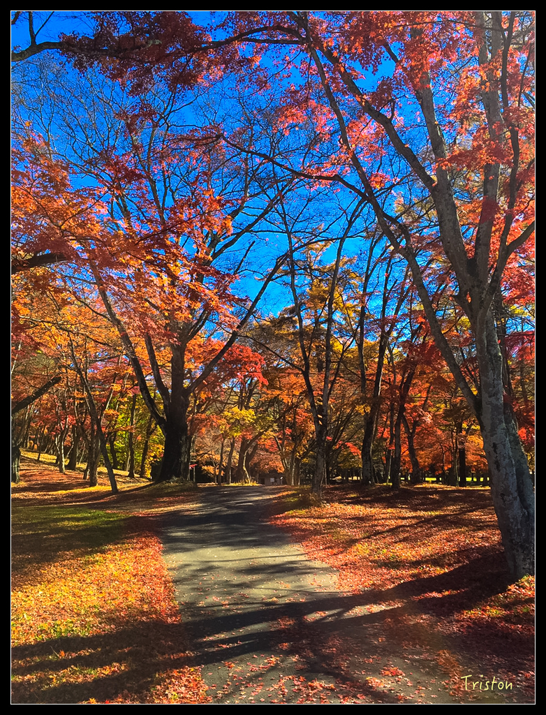 S__7528495.jpg - 20151031 秋天的童話-貴婦東京輕井澤紀行