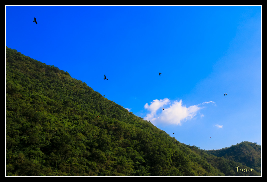 IMG_9438.jpg - 20151202 老七佳部落