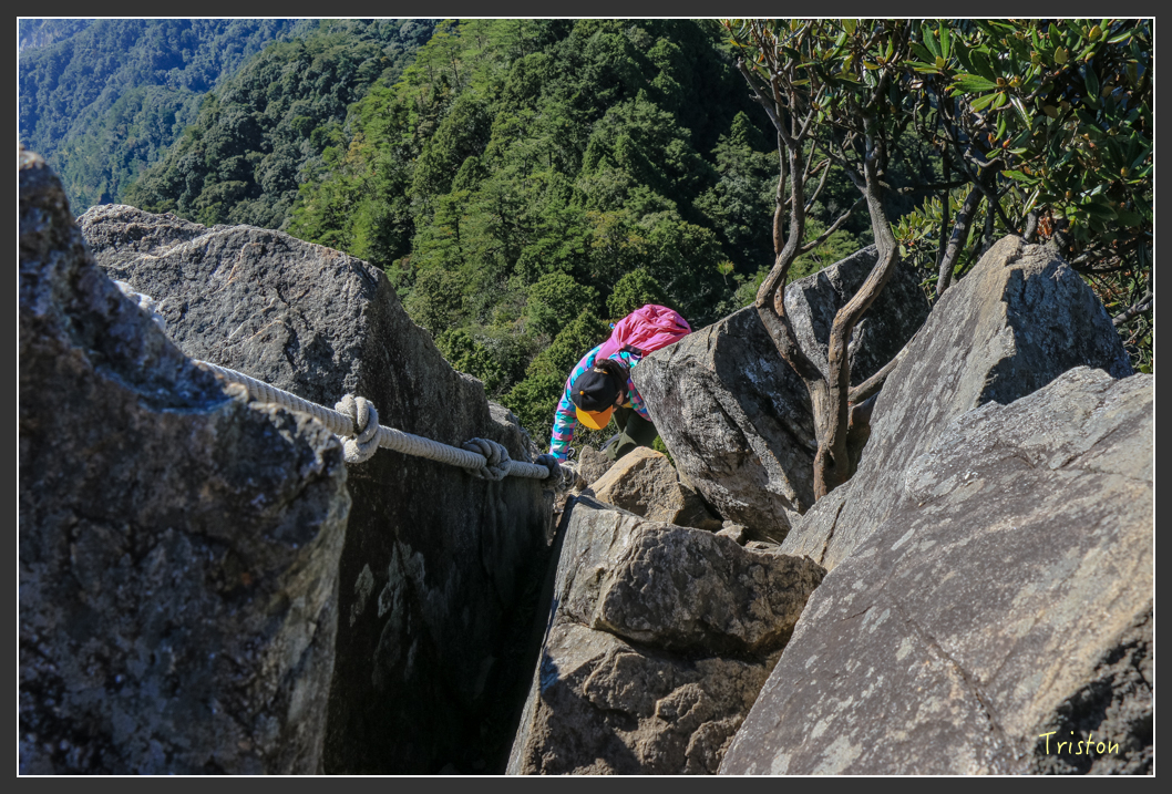 IMG_0501.jpg - 20151219 鳶嘴稍來山、小雪山林道
