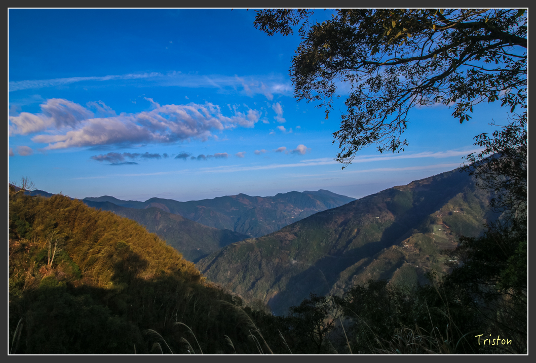 IMG_3340.jpg - 20160227 觀霧森林步道