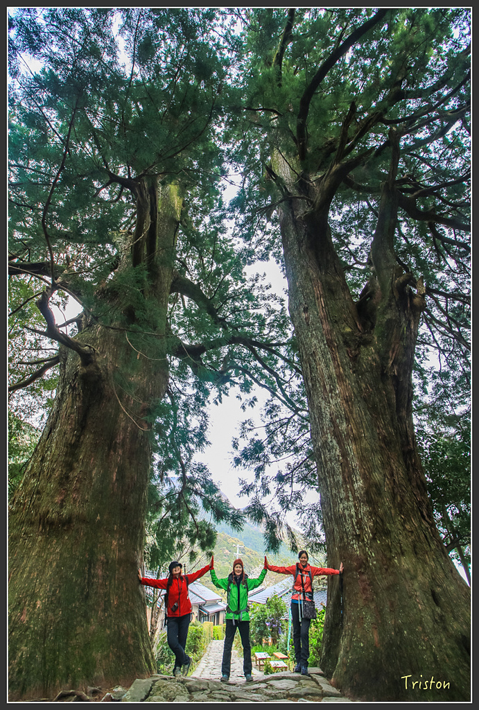 IMG_5741.jpg - 20160323 日本熊野古道健行