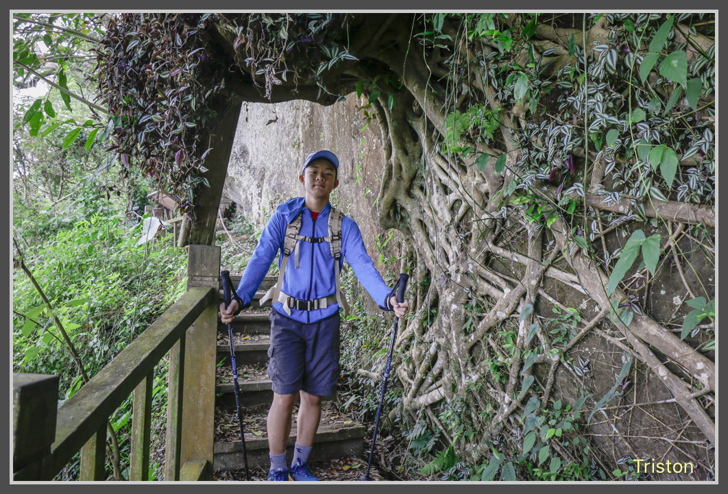 _MG_0015.jpg - 20161126 台南崁頭山