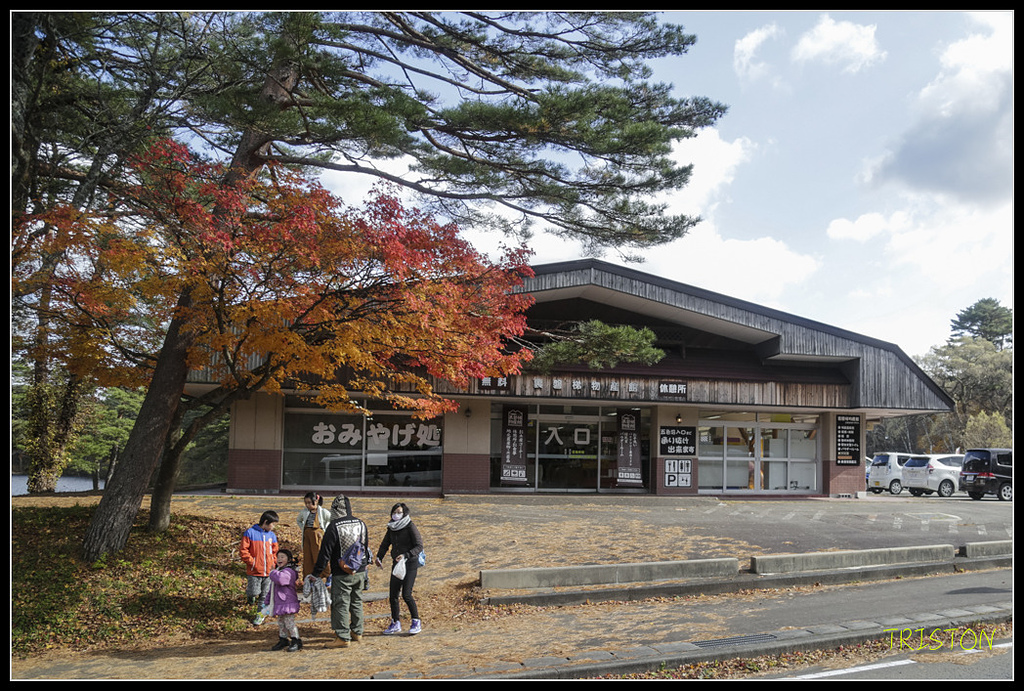 _H1A1388.jpg - 20171103 日本只見線、會津若松五色沼、昭和記念公園賞紅葉