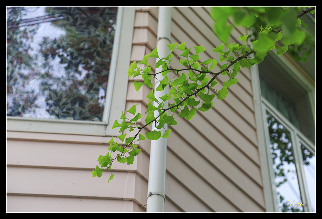 JH1A9326.jpg - 20150628 東京輕井澤日光