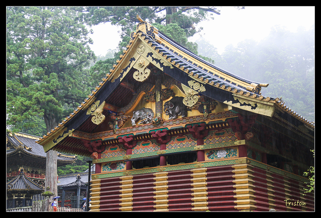 JH1A9959.jpg - 20150628 東京輕井澤日光