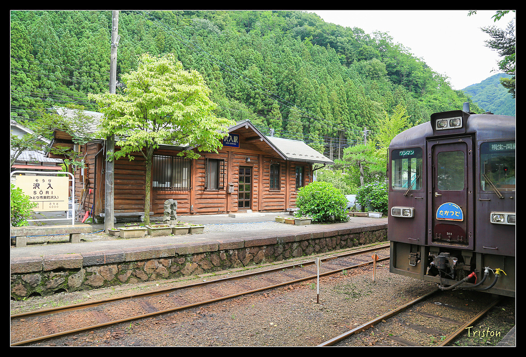 JH1A9835.jpg - 20150628 東京輕井澤日光