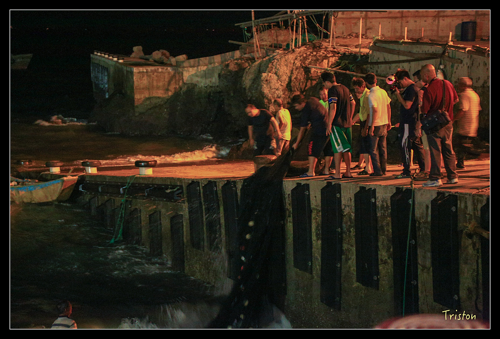 JH1A9061.jpg - 20150814 馬祖之旅