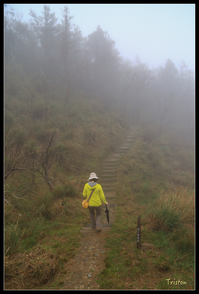 JH1A0175.jpg - 20151024~25 幾米公園、翠峰湖、翠峰山屋、望洋山步道、山毛櫸步道
