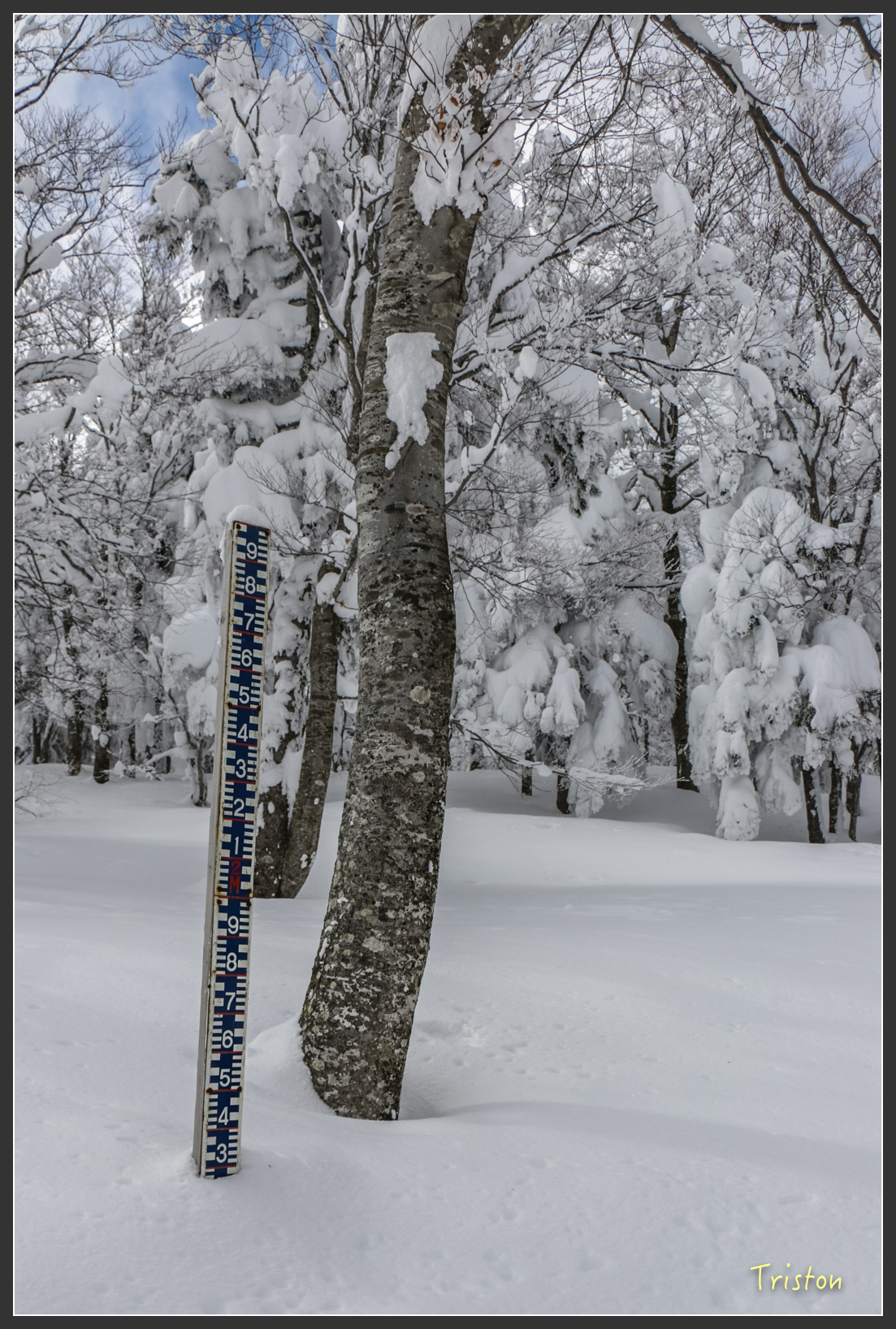 2016ZAO-01759.jpg - 20160131 日本藏王溫泉滑雪親子行