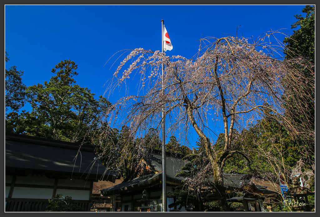 IMG_4866.jpg - 20160323 日本熊野古道健行