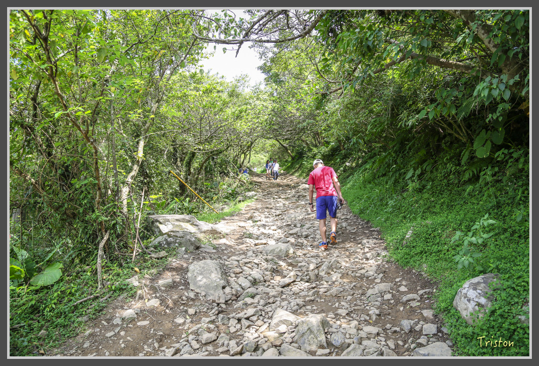 124 JH1A9872.jpg - 20160801 父子親子遊東北角