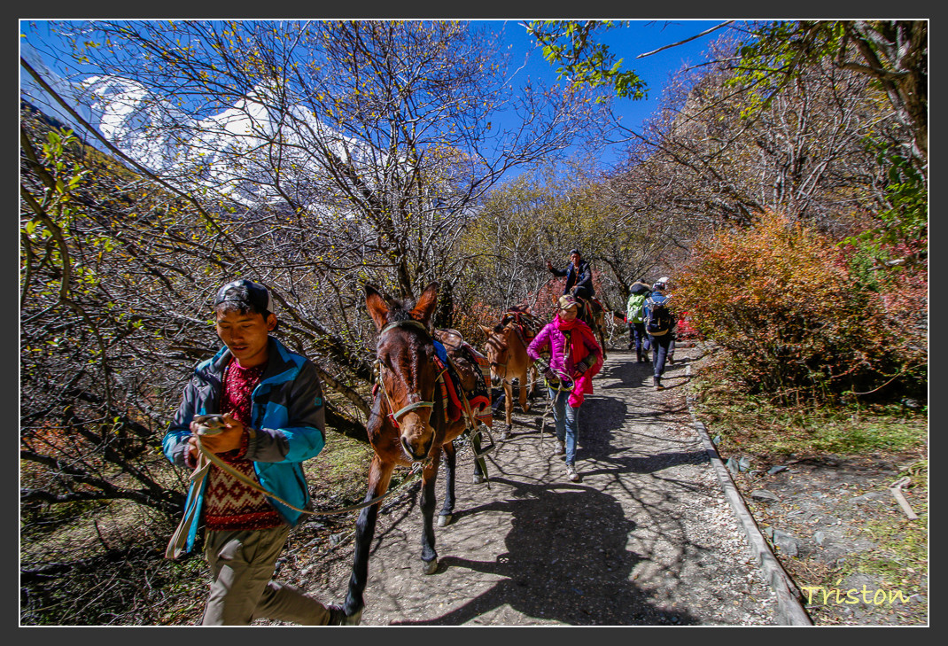 _MG_1737.jpg - 20161013 稻城亞丁
