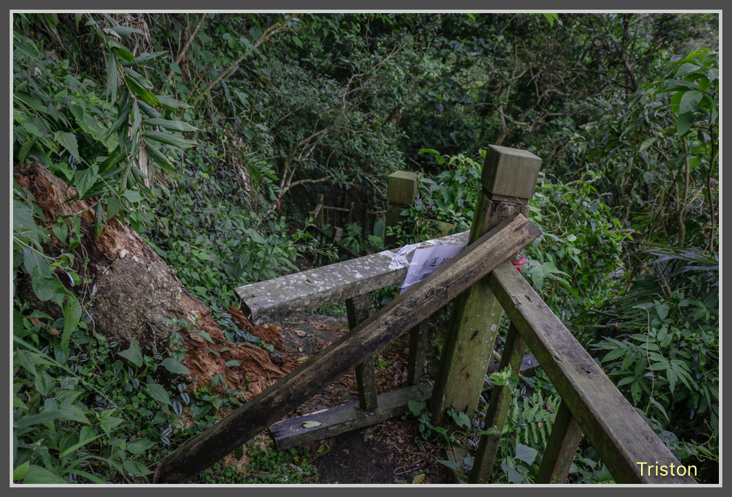 _MG_0021.jpg - 20161126 台南崁頭山