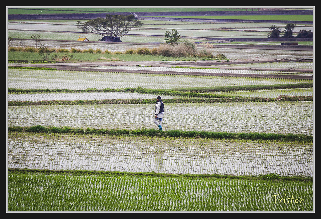 2017-02-27 10.03.54 下午 _MG_0727.jpg - 20170225 玉里瓦拉米