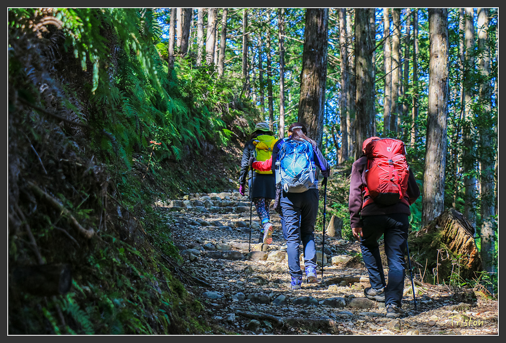 IMG_5064.jpg - 20160323 日本熊野古道健行