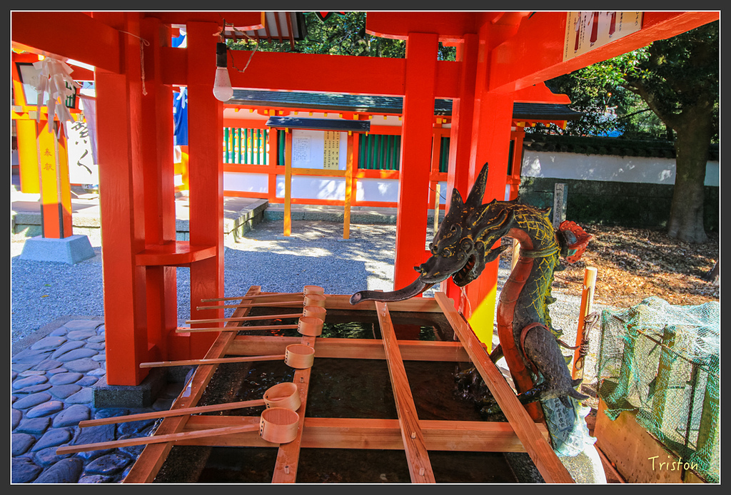 IMG_5808.jpg - 20160323 日本熊野古道健行