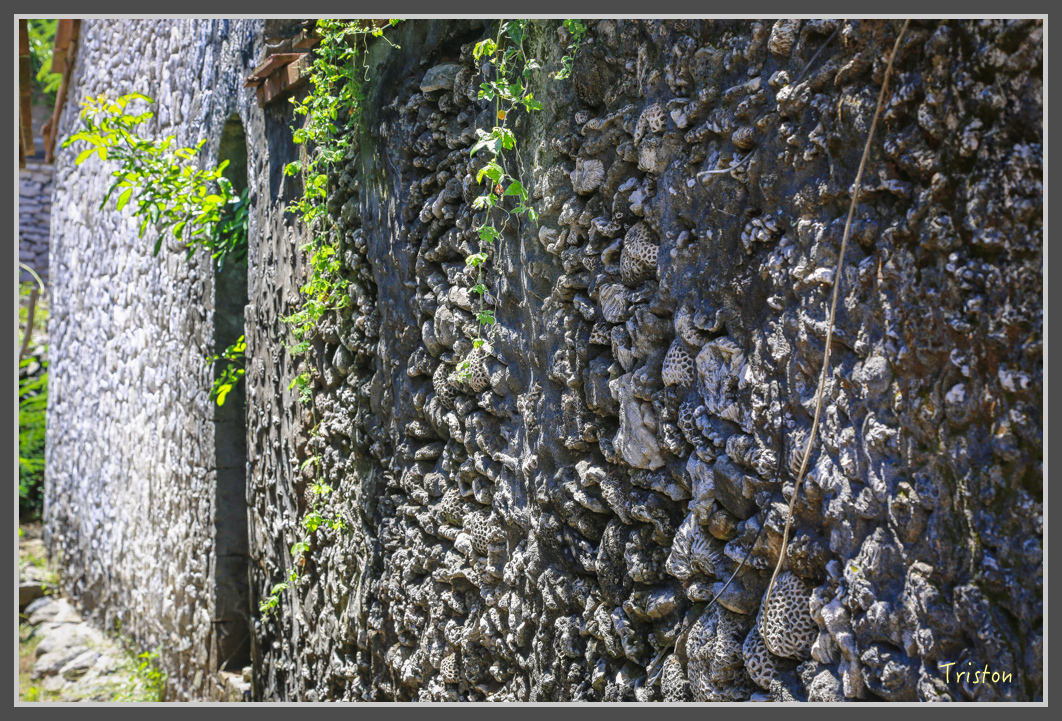 JH1A1427.jpg - 20160701 澎湖