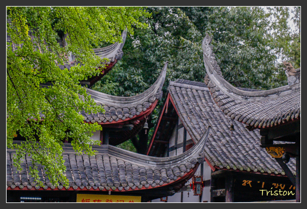 _MG_2860.jpg - 20161013 稻城亞丁