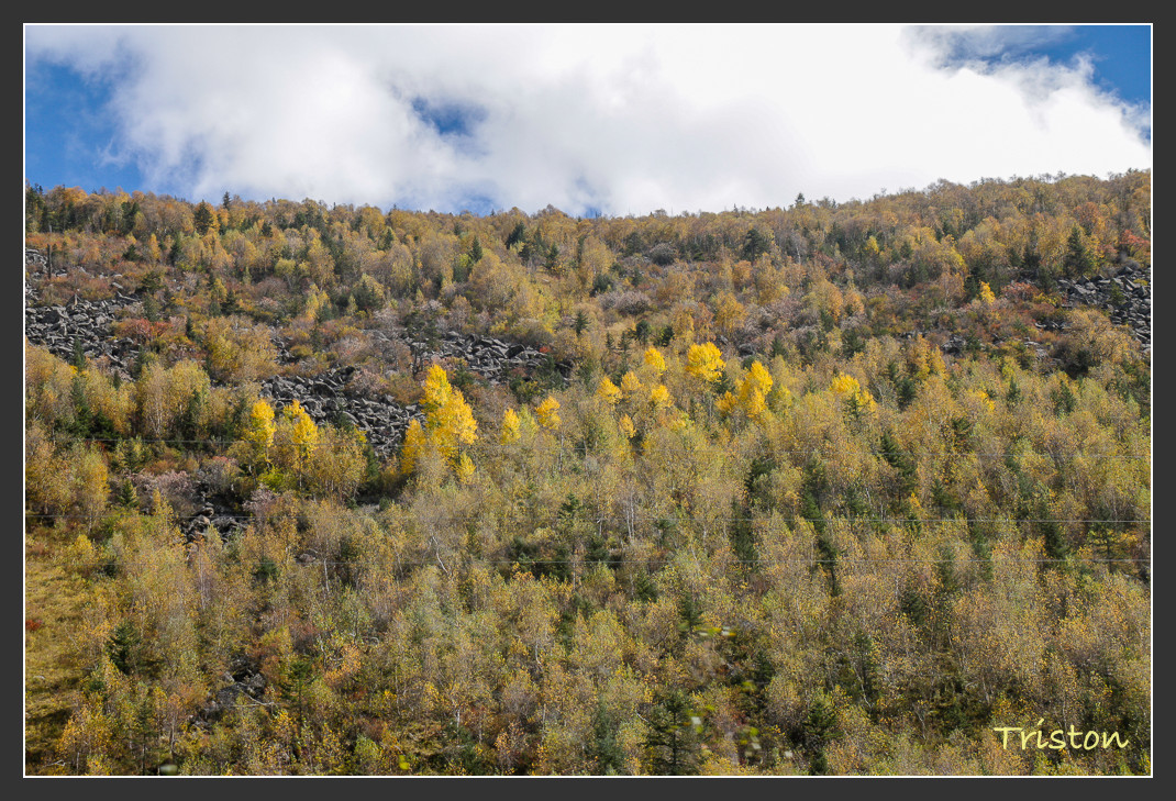 _MG_1254.jpg - 20161013 稻城亞丁