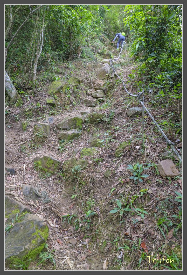 IMG_1942.jpg - 20161130 高雄旗尾山