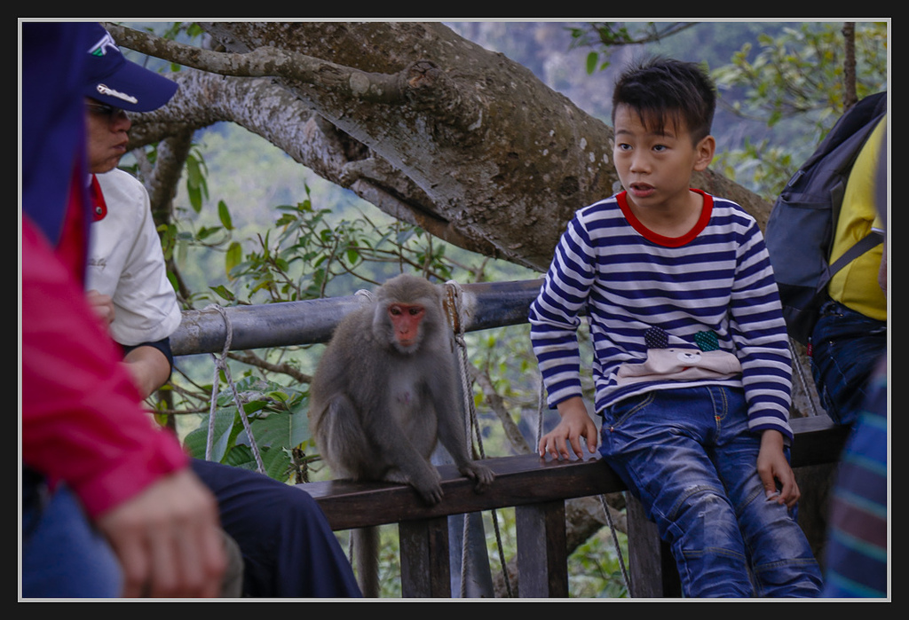 _MG_0056.jpg - 20170205 柴山盤榕雅座路線