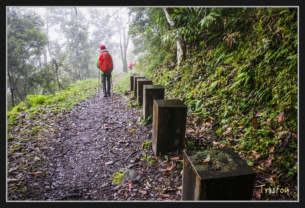 2017-02-27 10.03.53 下午 _MG_0434.jpg - 20170225 玉里瓦拉米
