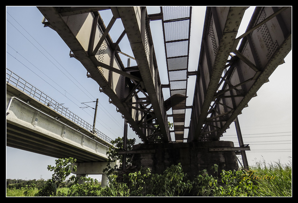 IMG_0004.jpg - 20170327 二層行溪鐵橋+環頸雉