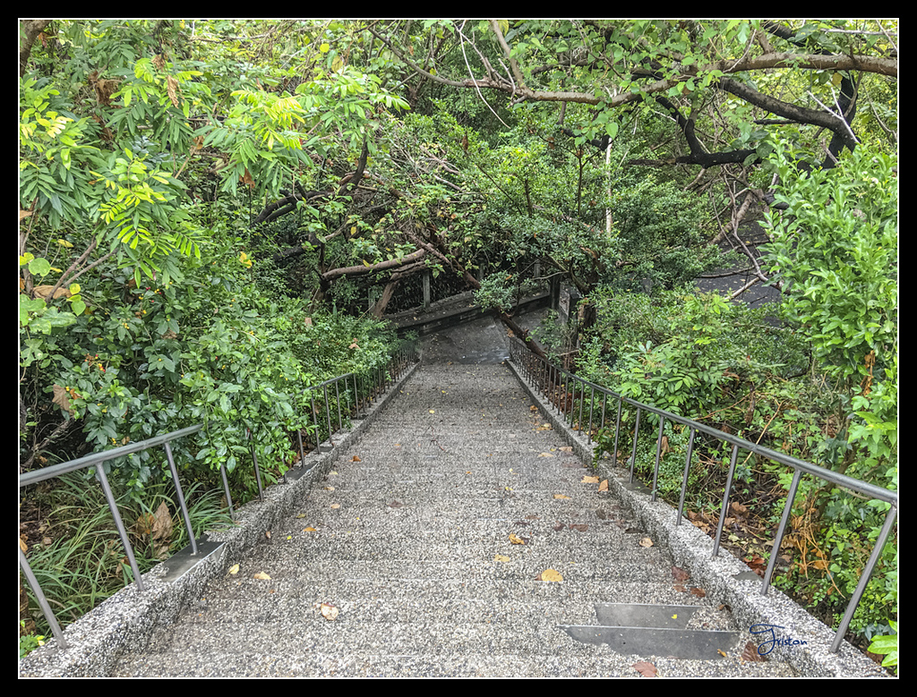 IMG_2786.jpg - 20170422 左營龜山步道、舊城