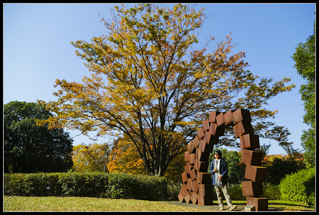 _H1A1625.jpg - 20171103 日本只見線、會津若松五色沼、昭和記念公園賞紅葉