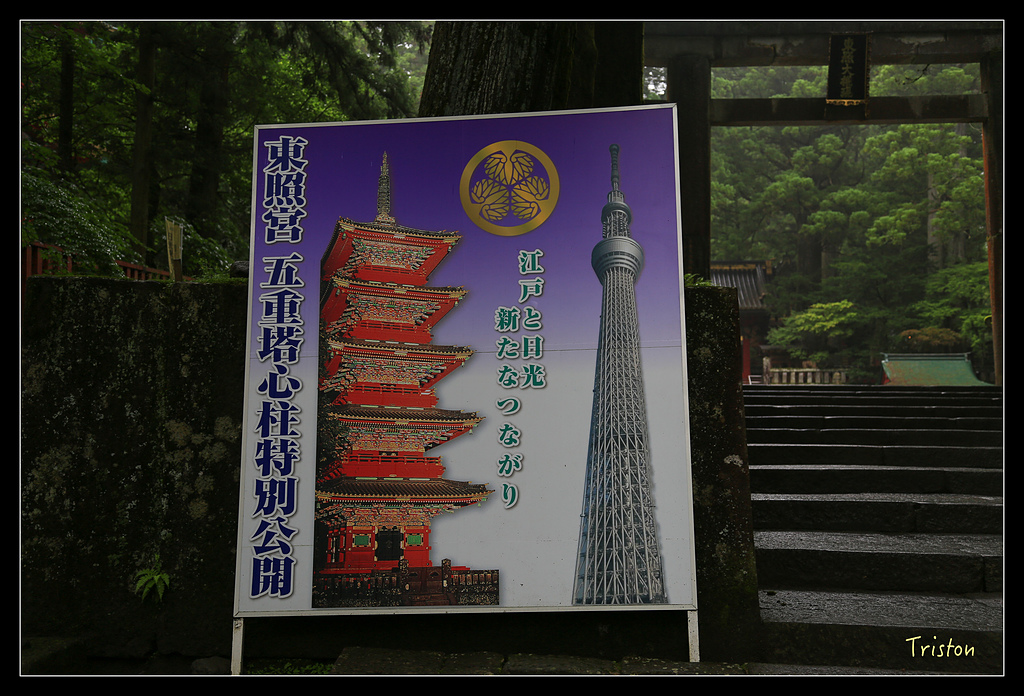 JH1A9952.jpg - 20150628 東京輕井澤日光