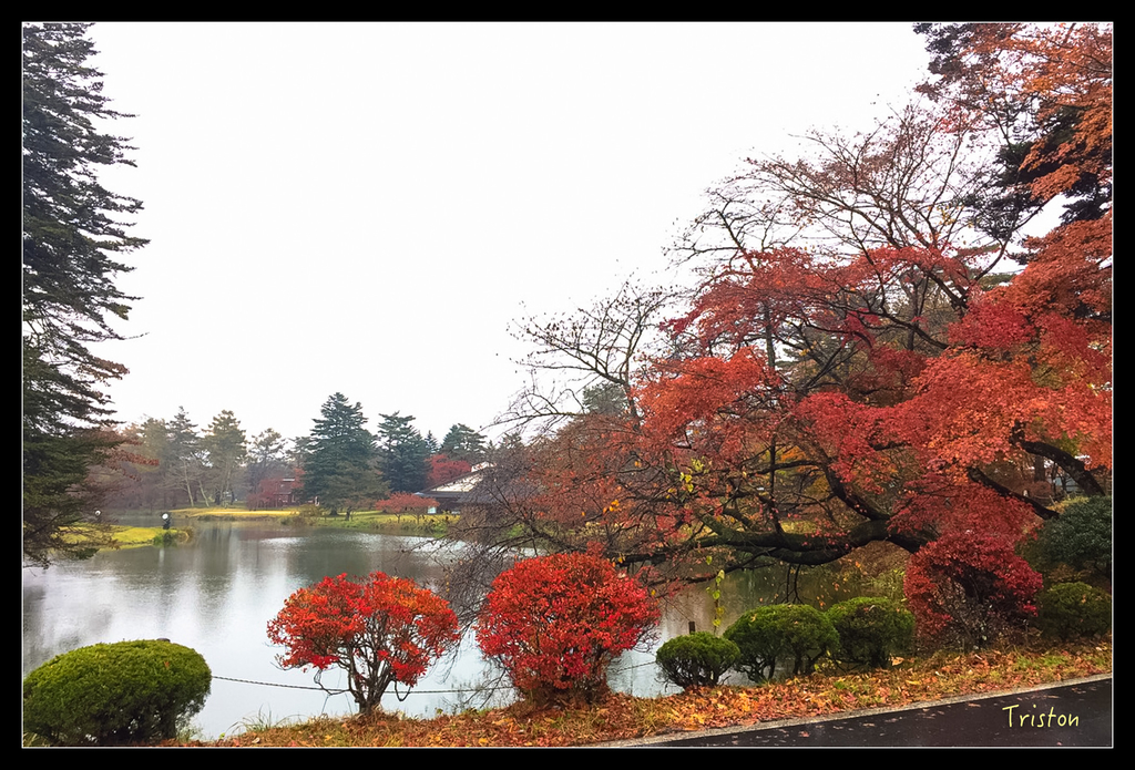 S__7536656.jpg - 20151031 秋天的童話-貴婦東京輕井澤紀行