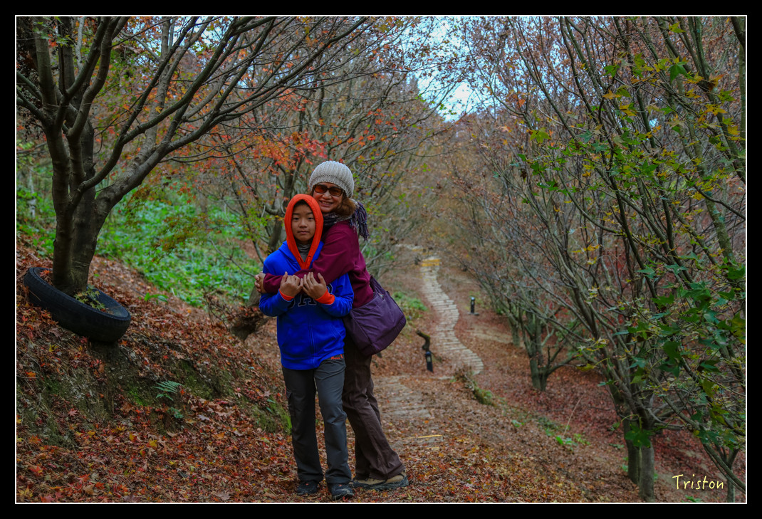 JH1A0951.jpg - 20151205 合歡溪步道、108K楓之谷