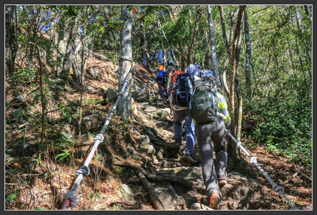 IMG_0431.jpg - 20151219 鳶嘴稍來山、小雪山林道