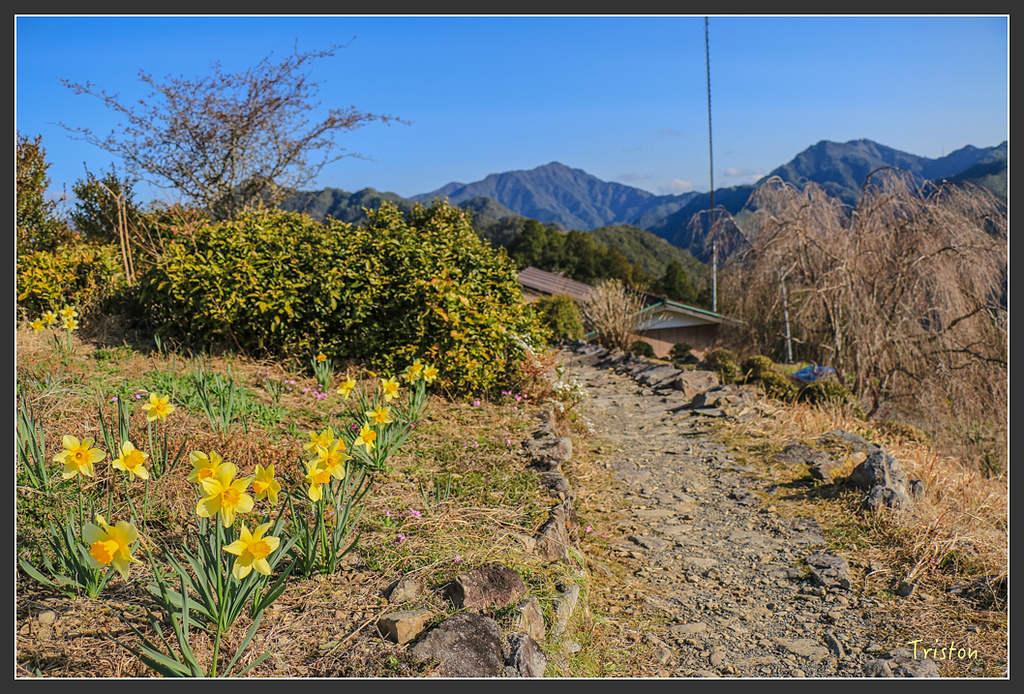 IMG_4656.jpg - 20160323 日本熊野古道健行