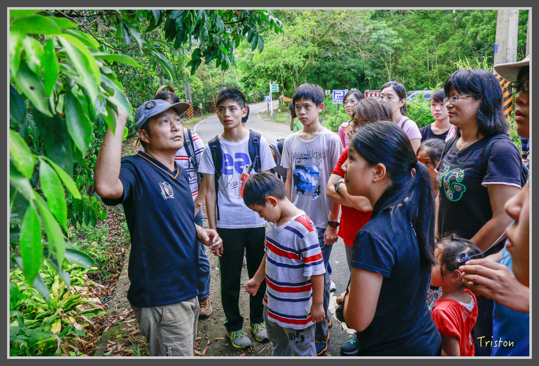 _MG_9195.jpg - 20160717 峰老師夜觀
