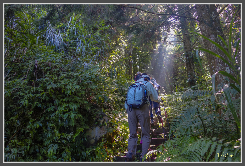 DSC00763.jpg - 20160924 溪頭台寅山