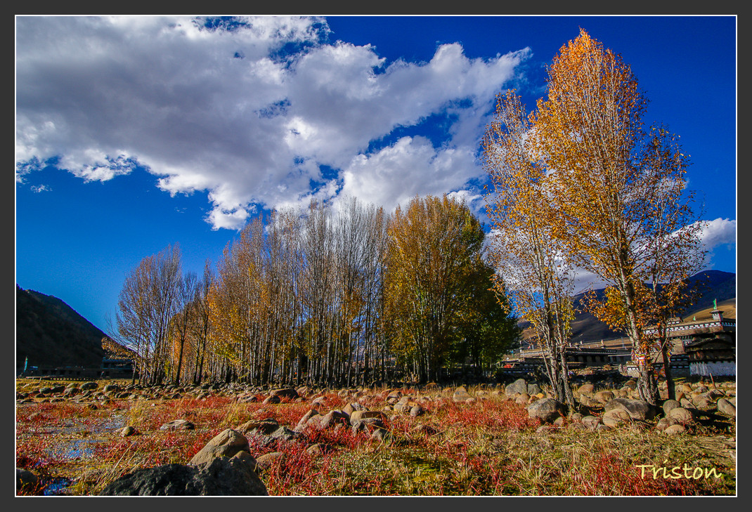 _MG_1573.jpg - 20161013 稻城亞丁
