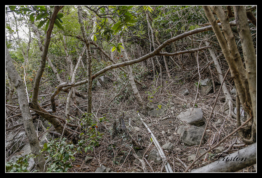 _H1A3249.jpg - 20170401 墾丁