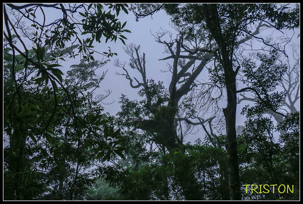 _MG_0130.jpg - 20170920 加里山