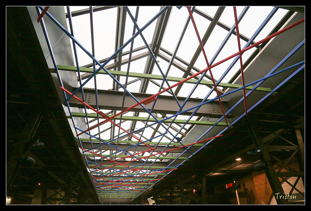 JH1A0203.jpg - 20150628 東京輕井澤日光