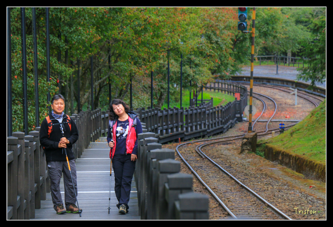 IMG_9346.jpg - 20151130 小笠原山、對高岳