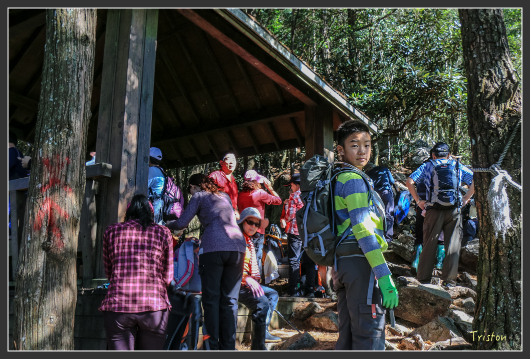 IMG_0433.jpg - 20151219 鳶嘴稍來山、小雪山林道